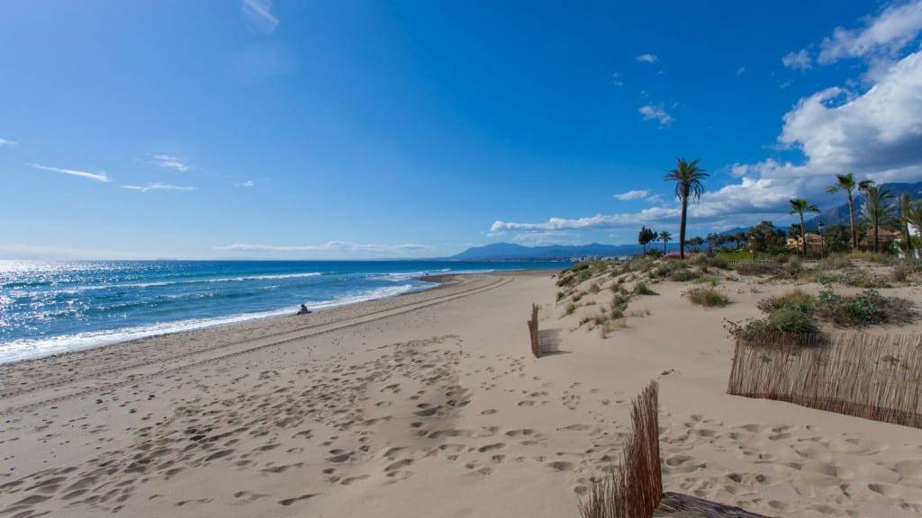 Apartment_PalmBeach-29