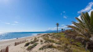 Apartment_PalmBeach-31