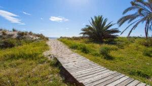 Apartment_PalmBeach-32