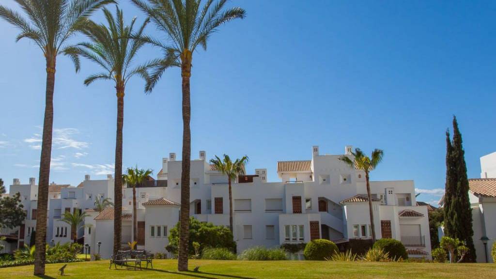 Apartment_PalmBeach-33