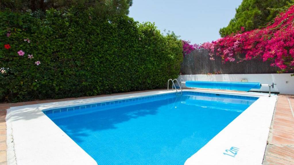 Palmeras-Calahonda-12