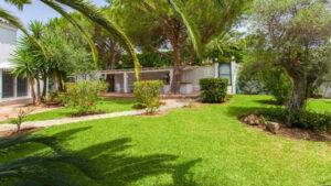 Palmeras-Calahonda-14