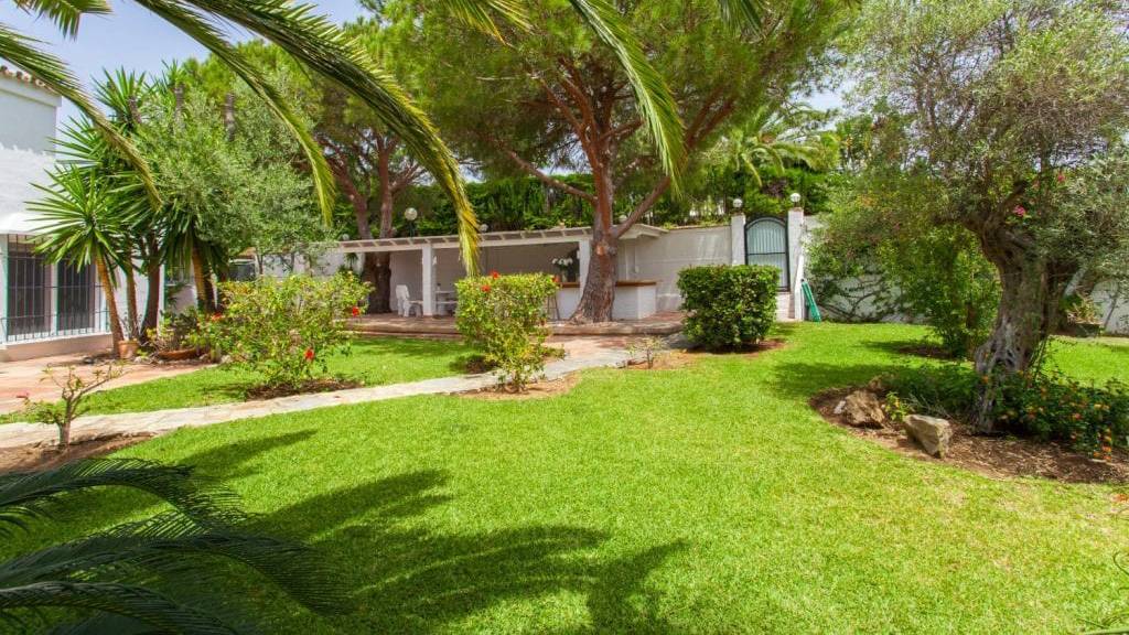 Palmeras-Calahonda-14