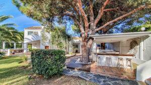 Palmeras-Calahonda-16