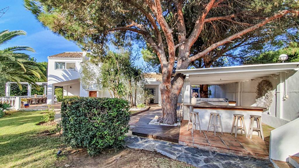 Palmeras-Calahonda-16